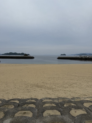 さき|宇和島 #14