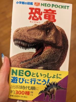 かつき　ゆう|勉強の第一歩o(o|o)/10