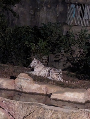 かつき　ゆう|とべ動物園※蛇画像あり꒰(・ㅅ・ )20