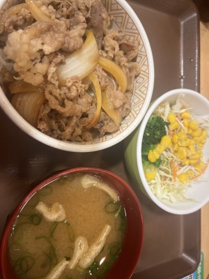 れな|牛丼