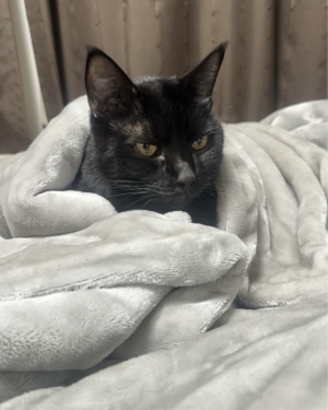 うみ　club eye[キャバクラ/松山市三番町]さんのブログページへはこちらから