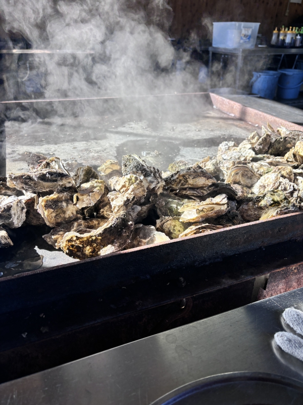 うみ|牡蠣🦪の季節ですね‎𖤐 ̖́-‬ ⑥ -