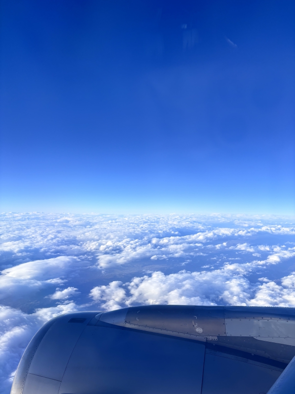 うみ|飛行機はちょっと苦手✈️ -5-