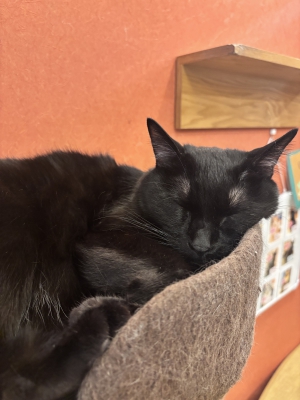 うみ　club eye[キャバクラ/松山市三番町]さんのブログページへはこちらから