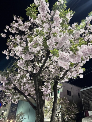 うみ　club eye[キャバクラ/松山市三番町]さんのブログページへはこちらから