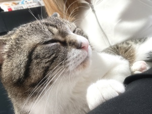 うみ　club eye[キャバクラ/松山市三番町]さんのブログページへはこちらから