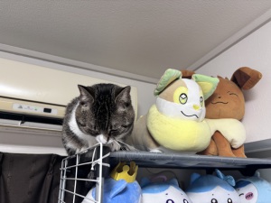 うみ　club eye[キャバクラ/松山市三番町]さんのブログページへはこちらから