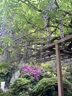 うみ　club eye[キャバクラ/松山市三番町]さんのブログページへはこちらから