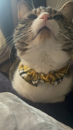 うみ　club eye[キャバクラ/松山市三番町]さんのブログページへはこちらから