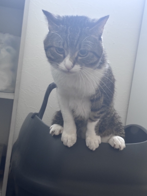うみ　club eye[キャバクラ/松山市三番町]さんのブログページへはこちらから