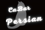 人気ショップランキング3位「Cabar Persian」[ガールズバー/松山市二番町]の情報はこちらから